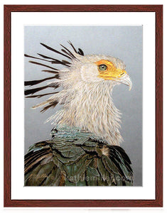 Secretary Bird painting with mahogany frame by wildlife artist Kathie Miller.  Prints available.