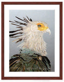 Secretary Bird painting with mahogany frame by wildlife artist Kathie Miller.  Prints available.
