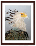 Secretary Bird painting with walnut frame by wildlife artist Kathie Miller.  Prints available.