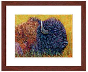 Shane. Pastel bison portrait with mahogany frame by award winning artist Kathie Miller
