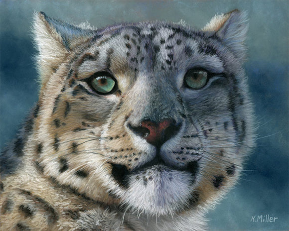 Original 10” x 8” pastel portrait of a snow leopard by award winning artist Kathie Miller. Rendered in a photo realistic style.  Prints available.