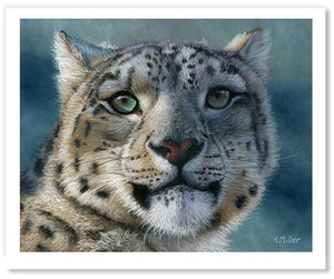 Snow Leopard Portrait | Fine Art Prints