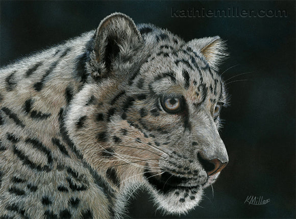 Snow Leopard - 8.5