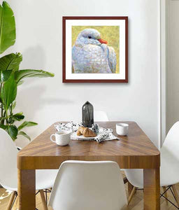 Pastel portrait print of a white dove framed in mahogany and a white mat  hanging in a small dining room.  Rendered in a contemporary style using bold strokes and bright colors by award winning artist Kathie Miller.