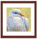 Pastel portrait print of a white dove with a mahogany frame and white mat. Rendered in a contemporary style using bold strokes and bright colors by award winning artist Kathie Miller. 