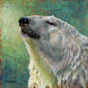 "Something in the Air – Polar Bear " 8” x 8”. Original pastel portrait of a polar bear in the bright sun by award winning artist Kathie Miller. Using bold strokes and bright colors. The background is various greens. Prints available.