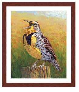 Pastel portrait print of a meadowlark singing in the early morning sun with a mahogany frame and 2” white mat. Rendered in a contemporary style using bold strokes and bright colors by award winning artist Kathie Miller. 