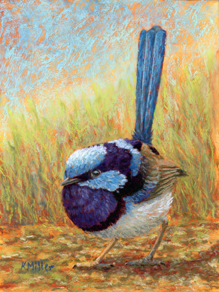 Original 6” x  8” pastel portrait of a superb fairy wren by award winning artist Kathie Miller. Contemporary style using bold strokes and bright colors. Prints available.