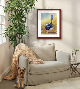 Pastel portrait of a superb fairy wren. Print with mahogany frame and a 2” white mat hanging in a cozy sitting area.  Rendered in a contemporary style using bold strokes and bright colors by award winning artist Kathie Miller.