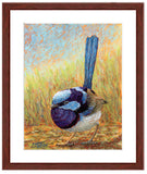 Pastel portrait of a superb fairy wren. Print with a mahogany frame and 2” white mat. Rendered in a contemporary style using bold strokes and bright colors by award winning artist Kathie Miller. 