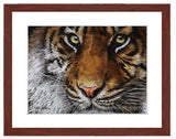 Tiger Portrait II painting with mohogany frame by award winning artist Kathie Miller. Prints available.