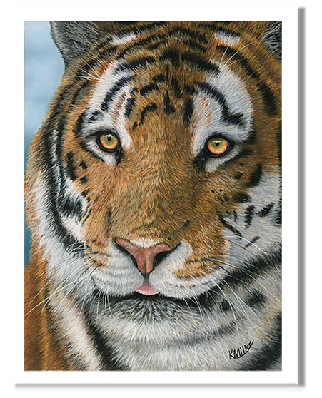 Tiger portrait  by award winning artist Kathie Miller.