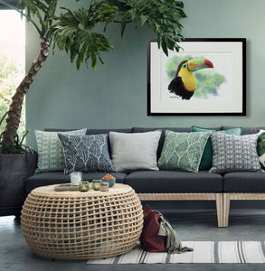 Toucan painting by wildlife artist Kathie Miller. Prints available.