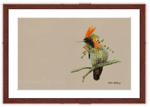 Tufted Coquette Hummingbird painting with mohogany frame  by wildlife artist Kathie Miller.  Prints available.