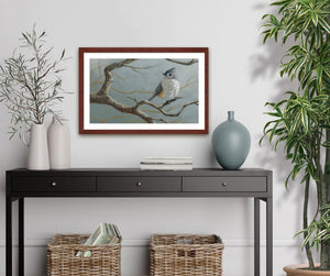 Pastel portrait print of a tufted titmouse with a mahogany frame and 2” white mat hanging over a black cradenza. Rendered in a photo realistic style by award winning artist Kathie Miller.