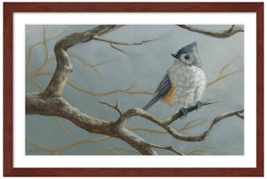 Pastel portrait print of a tufted titmouse with a mahogany frame and 2” white mat. Rendered in a photo realistic style by award winning artist Kathie Miller.
