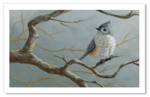 Pastel portrait print of a tufted titmouse. Rendered in a photo realistic style by award winning artist Kathie Miller.