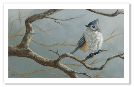 Pastel portrait print of a tufted titmouse. Rendered in a photo realistic style by award winning artist Kathie Miller.