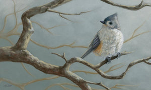 15”x 9” original pastel portrait of a tufted titmouse. Rendered in a photo realistic style by award winning artist Kathie Miller. Prints Available