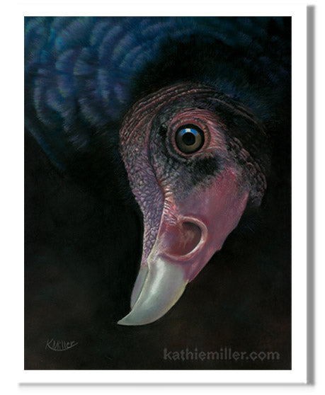 Pastel portrait print of a turkey vulture. Rendered in a contemporary style using bold strokes and bright colors by award winning artist Kathie Miller.