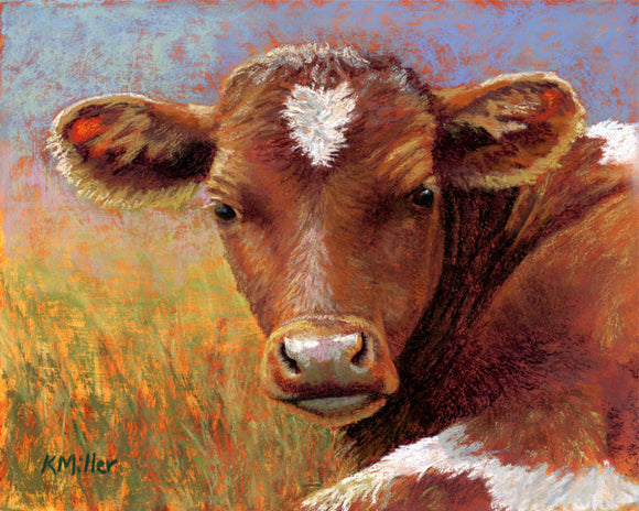 Original 10” x 8” Patel portrait of a longhorn calf with a perfect heart on her forehead laying in the sun by award winning artist Kathie Miller. Contemporary style using bold strokes and bright colors. Prints available.
