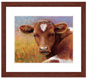 Pastel portrait print of a longhorn calf with a perfect heart on her forehead laying in the sun with a mahogany frame and white mat. Rendered in a contemporary style using bold strokes and bright colors by award winning artist Kathie Miller. 