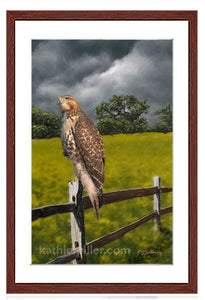 'Waiting For the Storm' - Red Tailed Hawk painting with mohogany frame by wildlife artist Kathie Miller. Prints available.