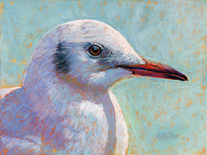 "Waiting for the Boats to Come In – Sea Gull " 8” x 6”. Original pastel portrait of a sea gull in the bright sunshine by award winning artist Kathie Miller. Contemporary style using bold strokes and bright colors. Prints available.