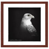 Fine art print of White Gyrfalcon Portrait on Black painting with mohogany frame by wildlife artist Kathie Miller.  Prints available.