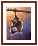 Pastel portrait print of a baby opossum hanging by its tail with a mahogany frame and 2” white mat. Rendered in a contemporary style using bold strokes and bright colors by award winning artist Kathie Miller. 