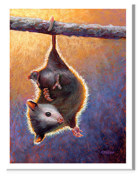 Pastel portrait print of a baby opossum hanging by its tail. Rendered in a contemporary style using bold strokes and bright colors by award winning artist Kathie Miller.