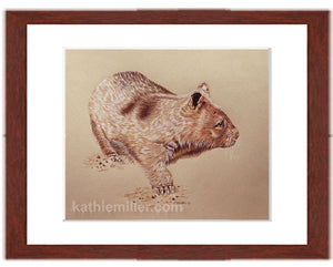 Wombat drawing with mahogany frame by award winning artist Kathie Miller