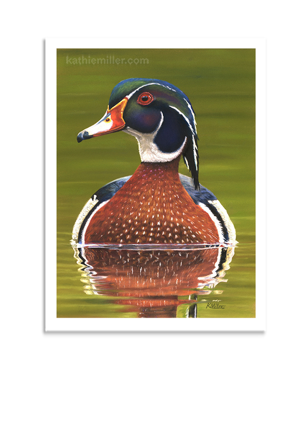 Pastel portrait of a wood duck rendered in a photo realistic style by award winning artist Kathie Miller.