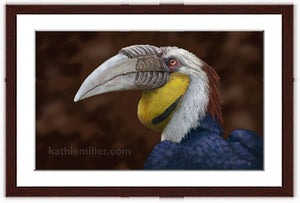 Wreathed Hornbill painting with walnut frame by wildlife artist Kathie Miller. Prints available.