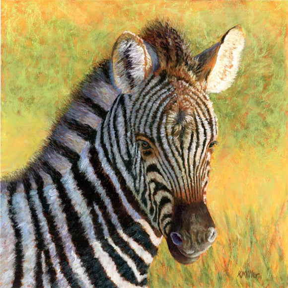 Original 12” x 12” pastel portrait of a zebra foal in the morning sun by award winning artist Kathie Miller. Contemporary style using bold strokes and bright colors. Prints available.