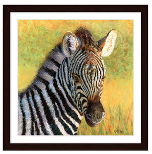 Pastel portrait print of a zebra foal in the morning sun with a dark charcoal frame and 2” white mat. Rendered in a contemporary style using bold strokes and bright colors by award winning artist Kathie Miller. 