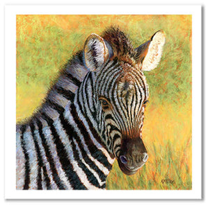Pastel portrait print of a zebra foal in the morning sun. Rendered in a contemporary style using bold strokes and bright colors by award winning artist Kathie Miller.