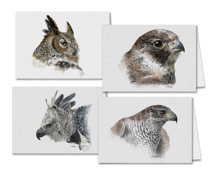 Set of 4 Greeting Cards Birds of Prey bay wildlife artist Kathie Miller