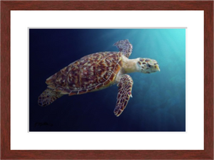 Sea Turtle painting with mohogany frame by award winning artist Kathie Miller