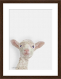  Lamb painting nursery art with walnut frame by wildlife artist Kathie Miller. Perfect for a nursery or child's room. Prints available.